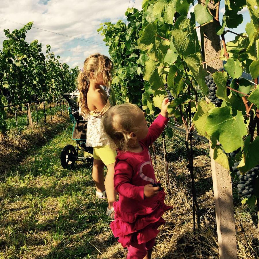 Lochererhof Διαμέρισμα Appiano Sulla Strada Del Vino Εξωτερικό φωτογραφία