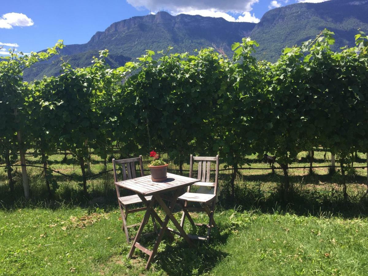 Lochererhof Διαμέρισμα Appiano Sulla Strada Del Vino Εξωτερικό φωτογραφία