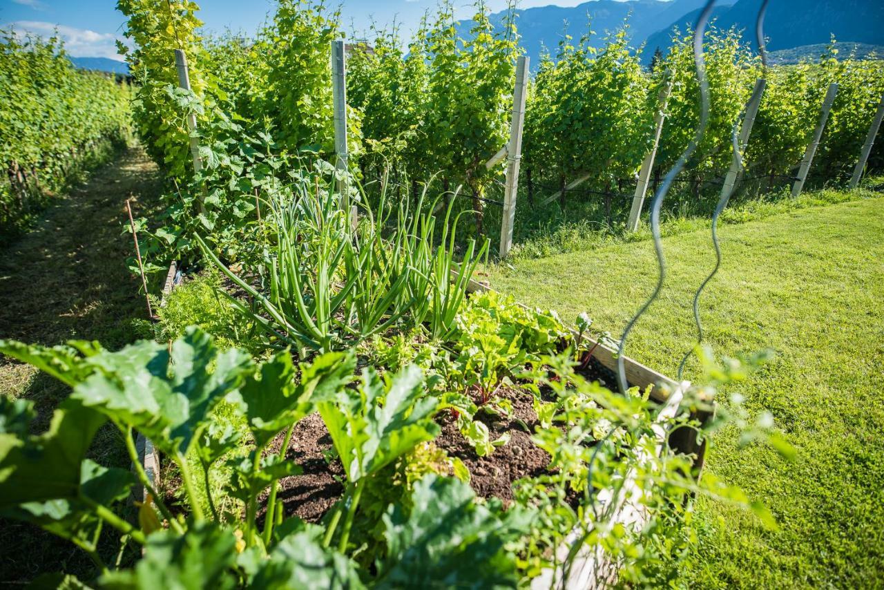 Lochererhof Διαμέρισμα Appiano Sulla Strada Del Vino Εξωτερικό φωτογραφία